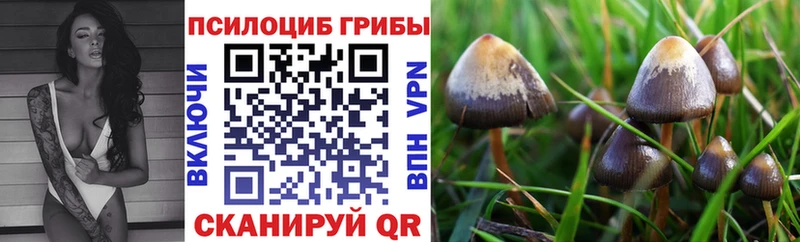 Псилоцибиновые грибы мицелий  Углич 